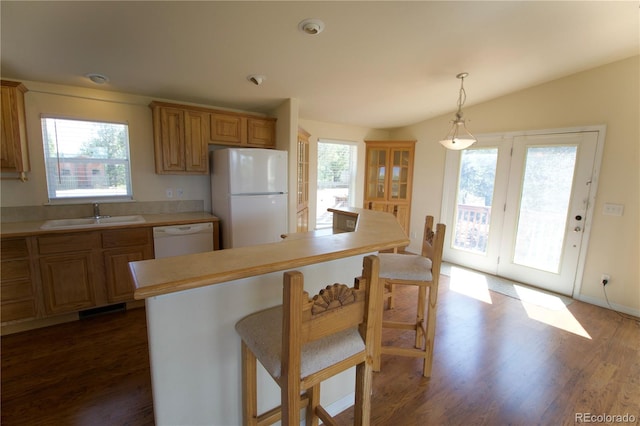 kitchen with dark hardwood / wood-style floors, white appliances, sink, and a healthy amount of sunlight