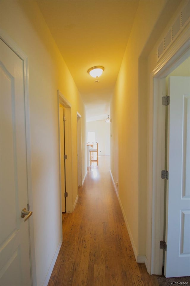 hallway with wood-type flooring