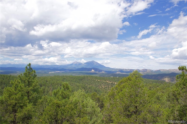 property view of mountains