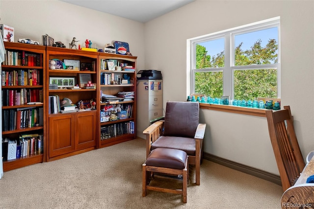 2862 Ariel Dr, Loveland, CO 80537 - photo 31