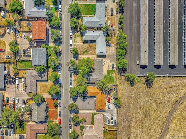 bird's eye view