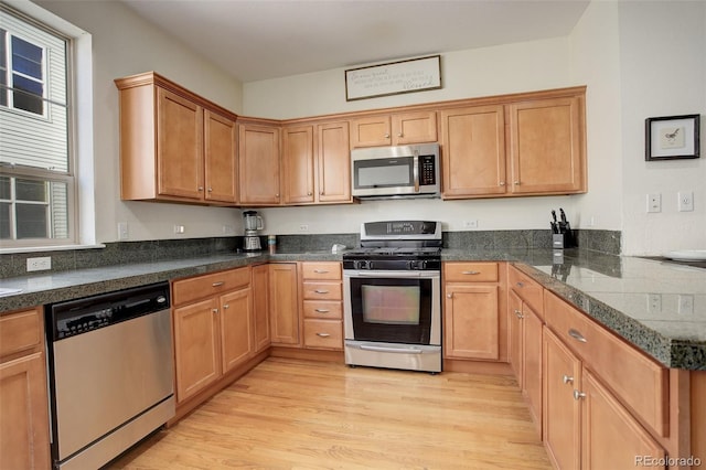 kitchen featuring appliances with stainless steel finishes and light hardwood / wood-style flooring