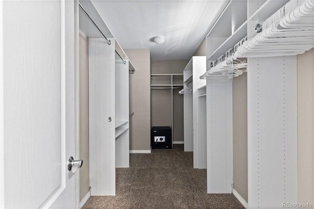 10840 Valleybrook Cir, Highlands Ranch, CO 80130 - spacious closet with carpet flooring