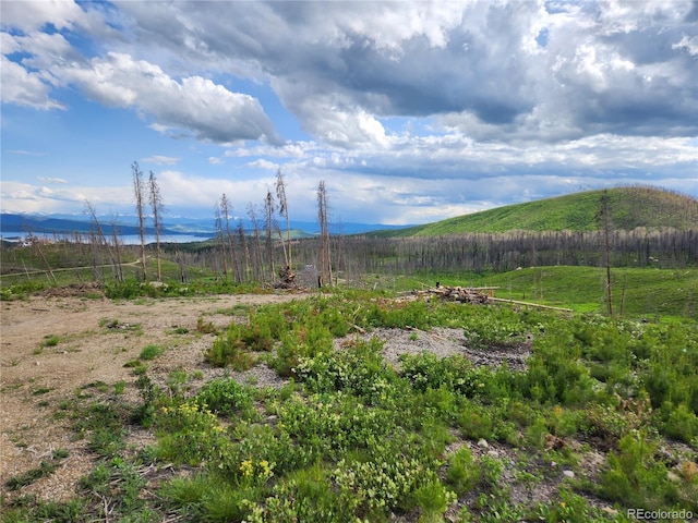 1642 Gcr 454, Grand Lake, CO 80447 - photo 4