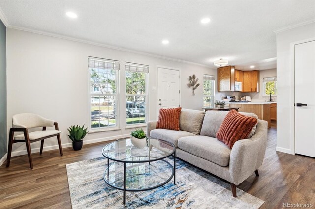 living room with ornamental molding, plenty of natural light, and wood finished floors