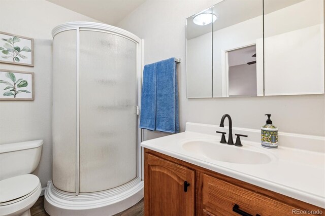 bathroom featuring toilet, a stall shower, and vanity