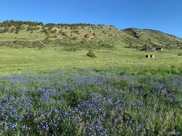 223 Stone Canyon Rd, Lyons, CO 80540