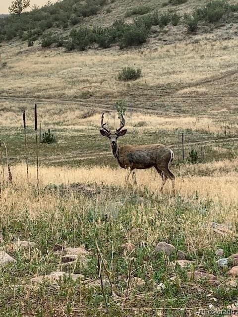 223 Stone Canyon Rd, Lyons, CO 80540