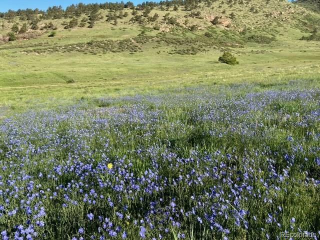 223 Stone Canyon Rd, Lyons, CO 80540