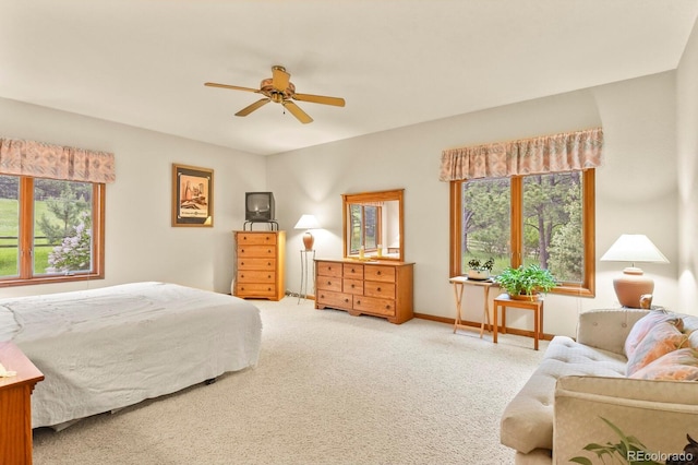 19085 Merry Men Cir, Monument, CO 80132 - photo 18
