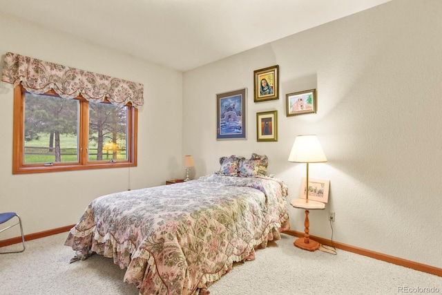 19085 Merry Men Cir, Monument, CO 80132 - photo 22