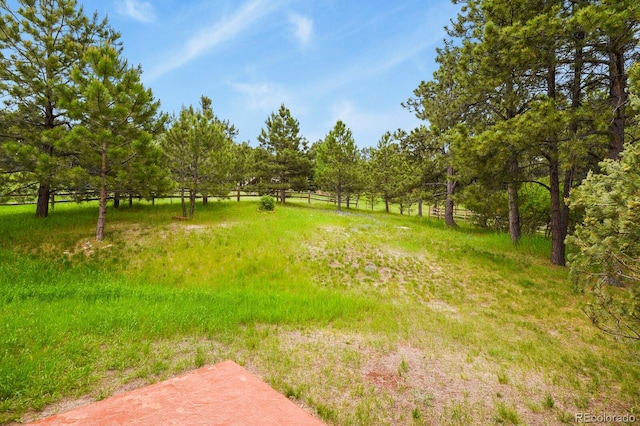 19085 Merry Men Cir, Monument, CO 80132 - photo 39