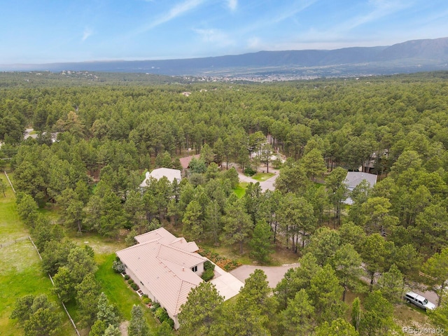 19085 Merry Men Cir, Monument, CO 80132 - photo 42