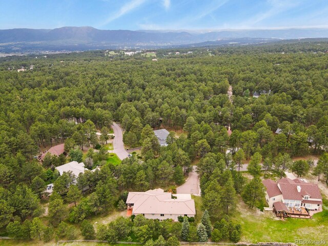 19085 Merry Men Cir, Monument, CO 80132 - photo 43