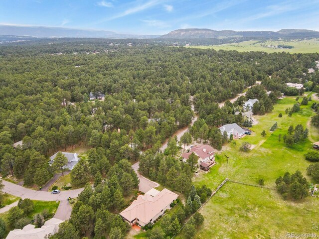 19085 Merry Men Cir, Monument, CO 80132 - photo 44