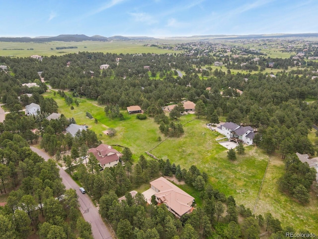 19085 Merry Men Cir, Monument, CO 80132 - photo 45