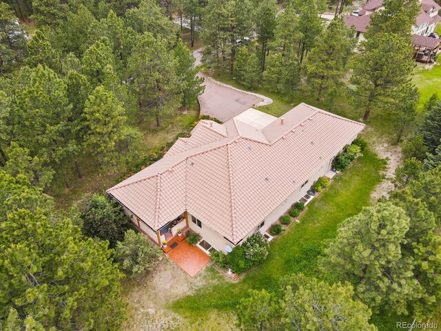 19085 Merry Men Cir, Monument, CO 80132 - photo 48