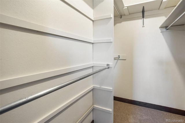 spacious closet with carpet floors