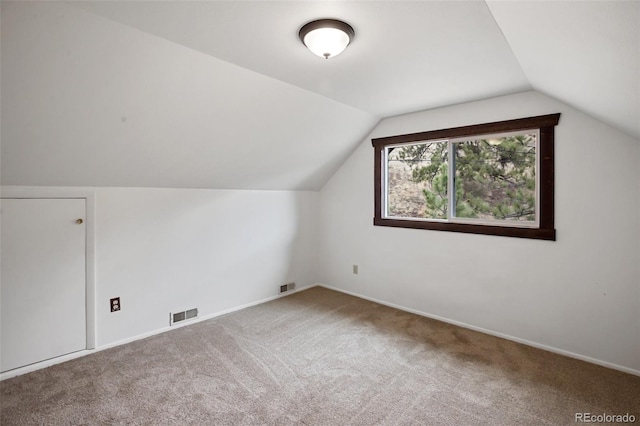 additional living space featuring visible vents, carpet, baseboards, and vaulted ceiling