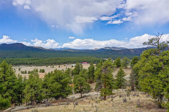 mountain view featuring a view of trees