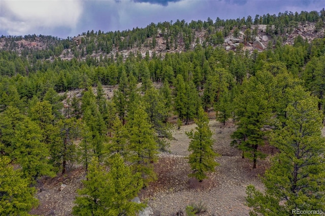 bird's eye view with a wooded view