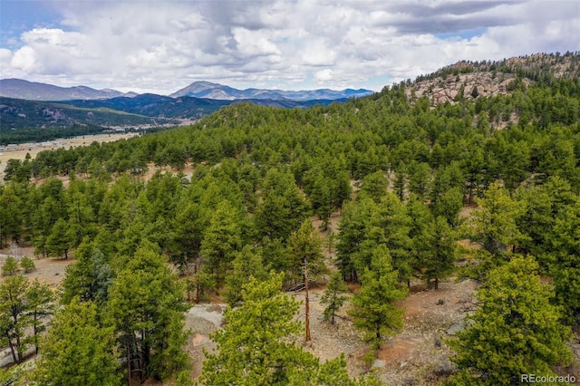 view of mountain feature featuring a wooded view