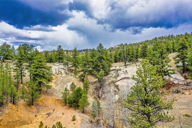 birds eye view of property with a view of trees