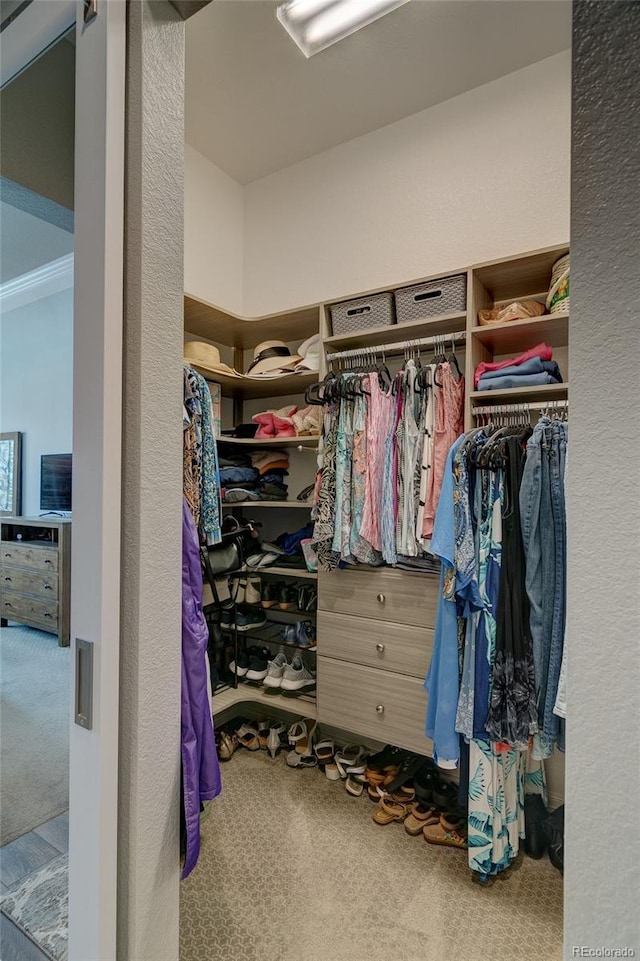 532 Woodroot Cir, Castle Rock, CO 80104 - photo 16