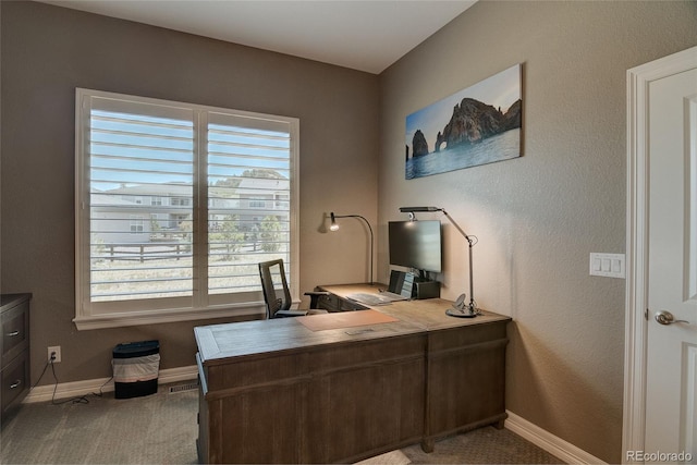 532 Woodroot Cir, Castle Rock, CO 80104 - photo 21