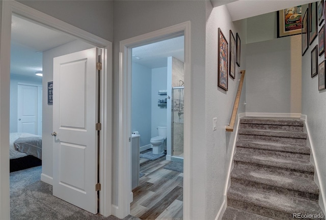 532 Woodroot Cir, Castle Rock, CO 80104 - photo 35