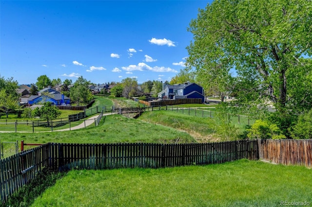 view of yard