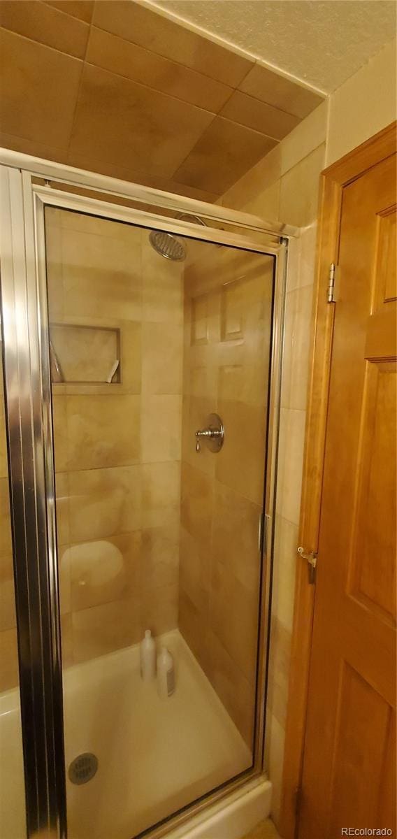 8120 S Jay Dr, Littleton, CO 80128 - bathroom with a stall shower