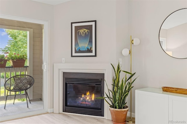 1158 Opal St Unit 203, Broomfield, CO 80020 - detailed view of a glass covered fireplace and wood finished floors