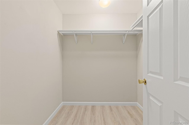 1158 Opal St Unit 203, Broomfield, CO 80020 - walk in closet featuring light wood-style flooring