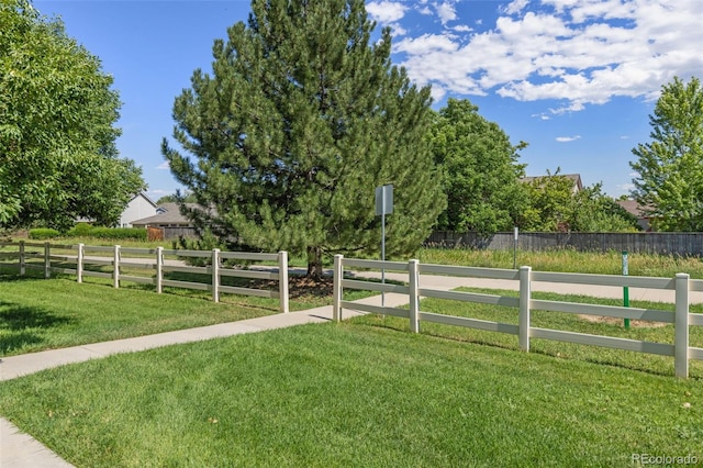1158 Opal St Unit 203, Broomfield, CO 80020 - view of yard