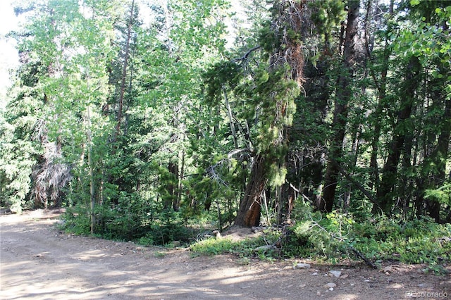 00 Sunflower Rd, Black Hawk, CO 80422