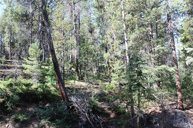 00 Sunflower Rd, Black Hawk, CO 80422