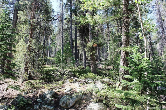 00 Sunflower Rd, Black Hawk, CO 80422
