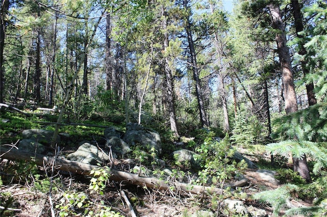 00 Sunflower Rd, Black Hawk, CO 80422