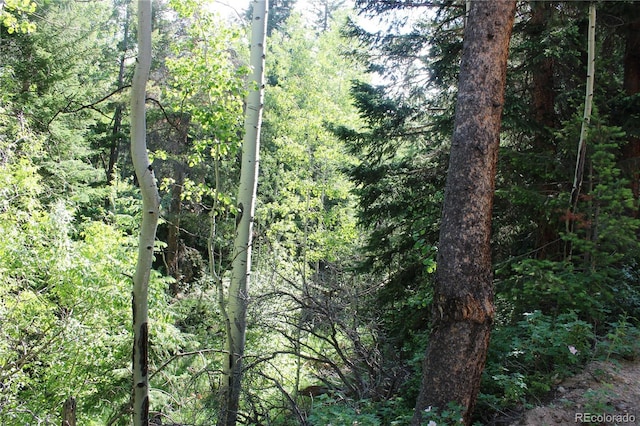 00 Sunflower Rd, Black Hawk, CO 80422