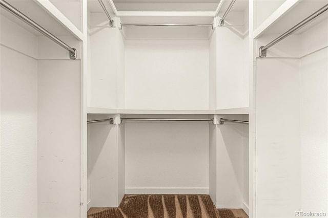 spacious closet with carpet floors