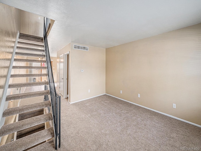 stairway featuring carpet floors