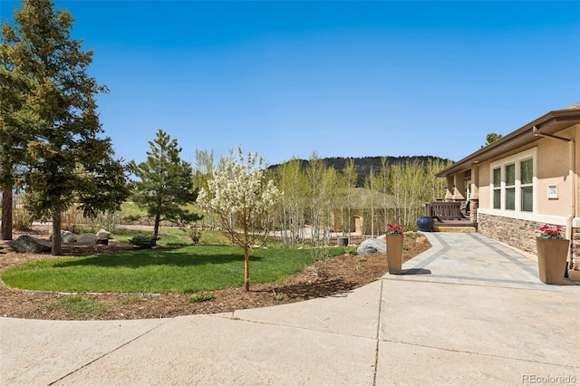 view of green lawn featuring a patio