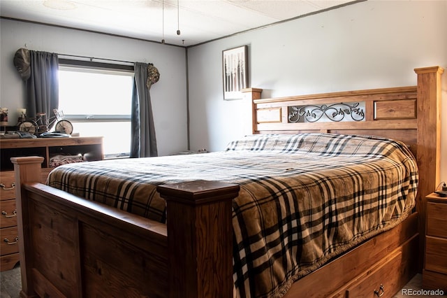 25500 US Highway 50, Cotopaxi, CO 81223 - view of bedroom