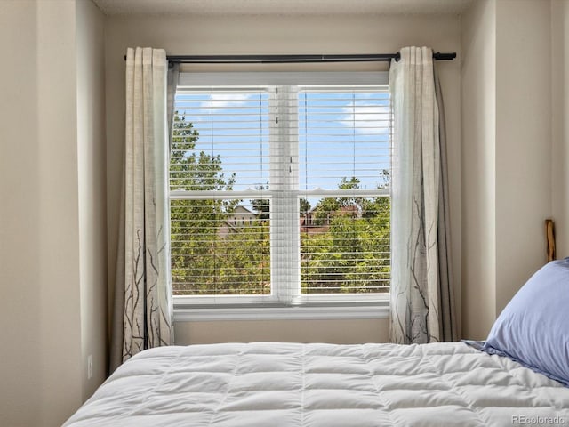 1890 E 97th Ave, Thornton, CO 80229 - photo 19