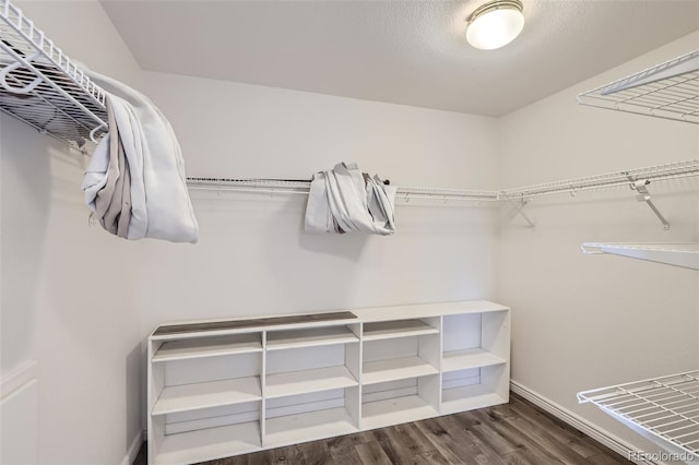 walk in closet featuring dark wood-type flooring