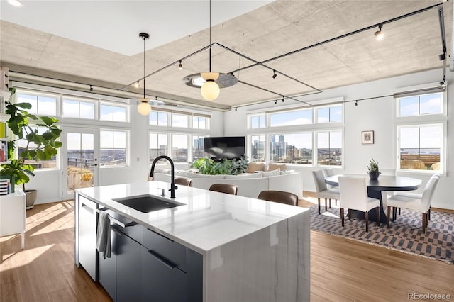 kitchen featuring a sink, plenty of natural light, and dark wood-style floors