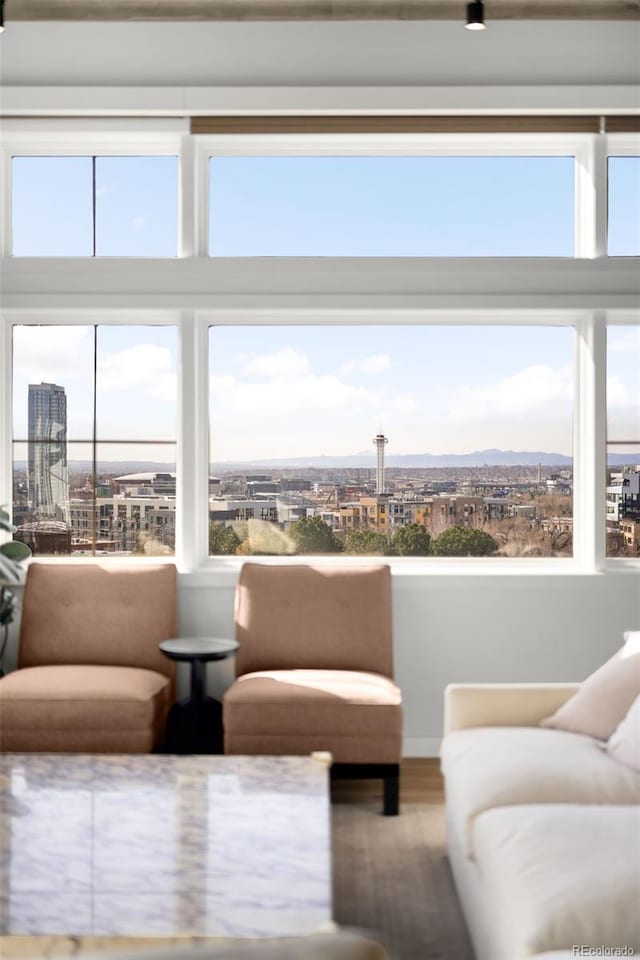 living area featuring a city view and wood finished floors