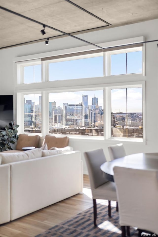 living room with plenty of natural light, a city view, and wood finished floors