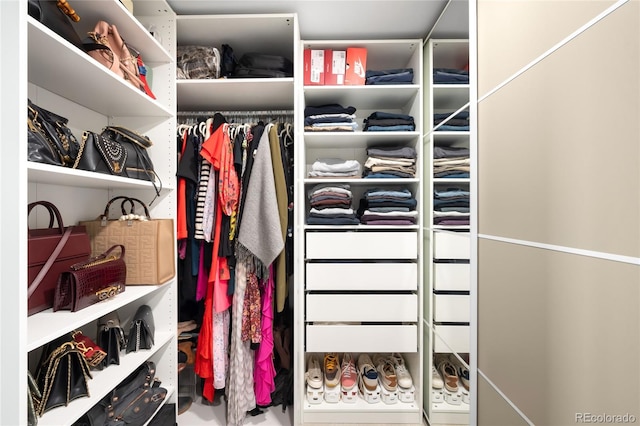 view of spacious closet